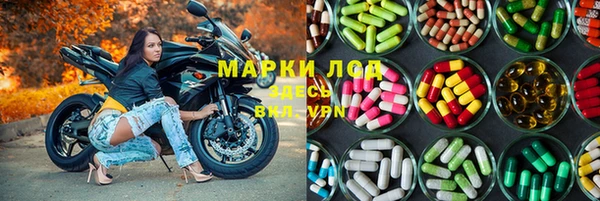 СК Медногорск